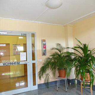 Eingangsbereich Forst